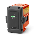 Battery BLi10