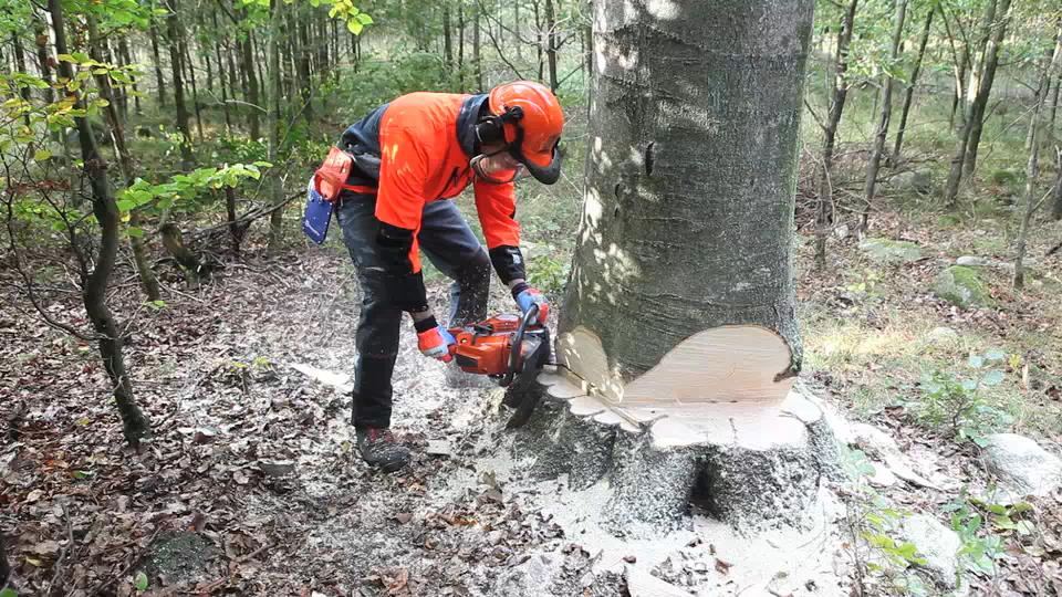 Working with chainsaws - Woodcutting 4 54s 16:9 MASTER