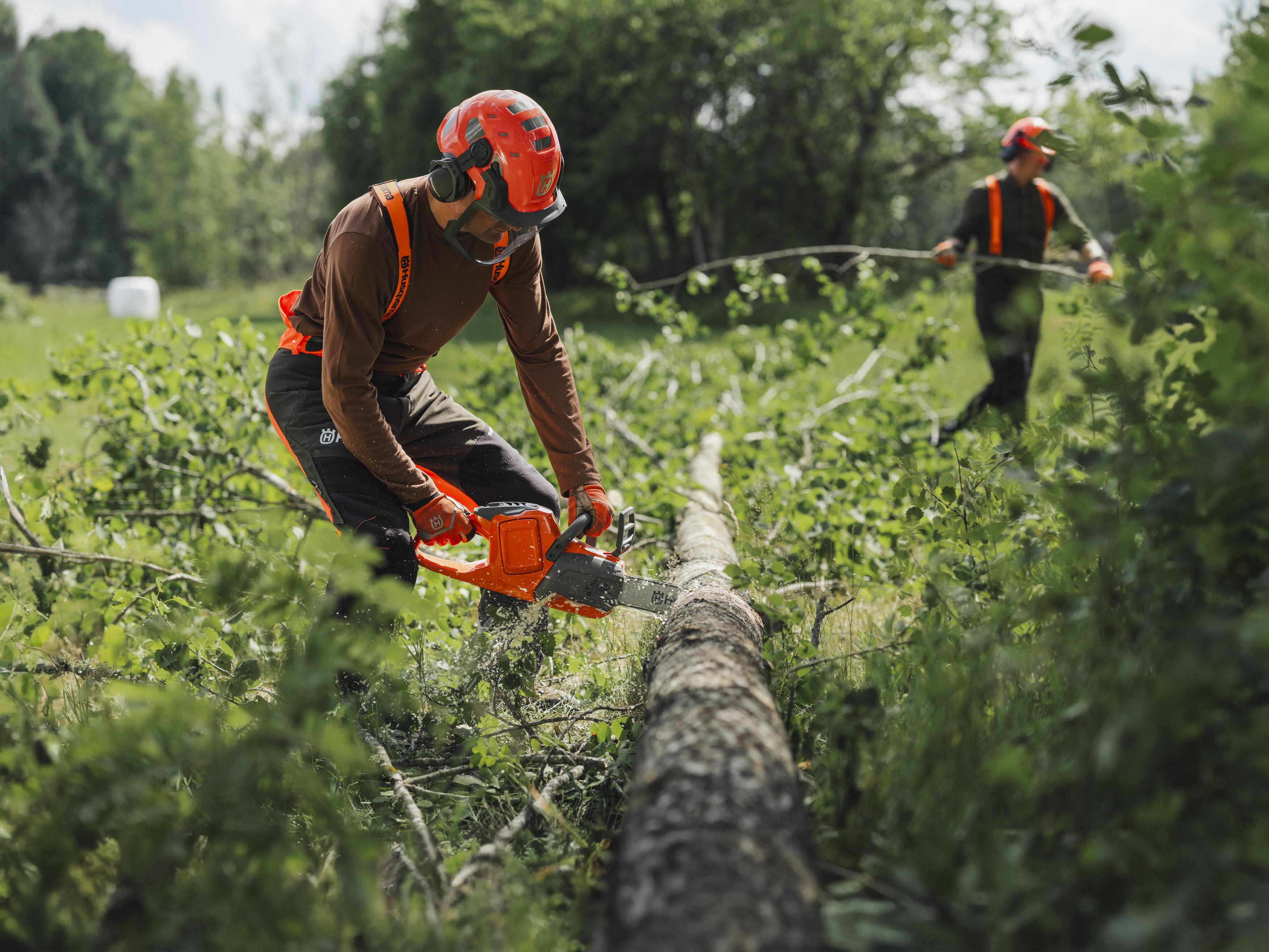 Limbing with battery chainsaw 435i