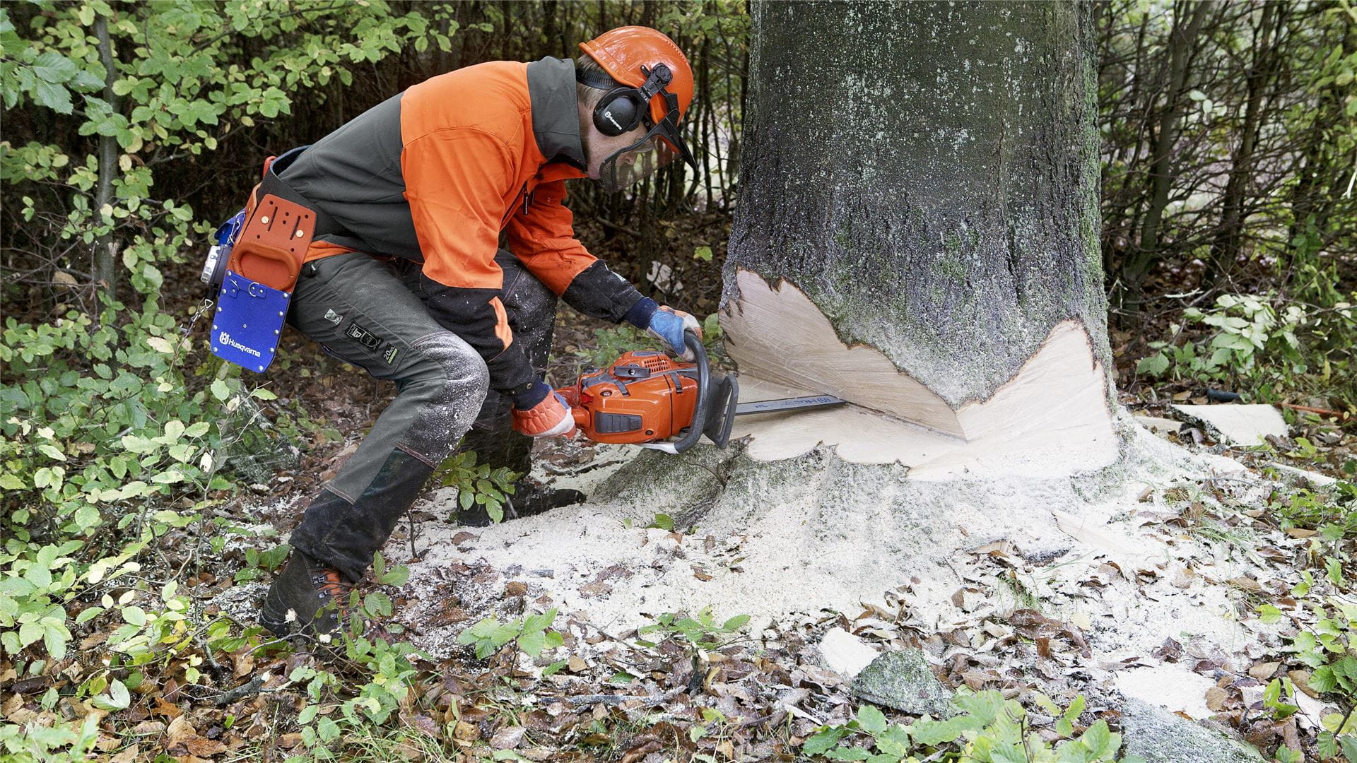 How to use a chainsaw Working with chainsaws, part 1