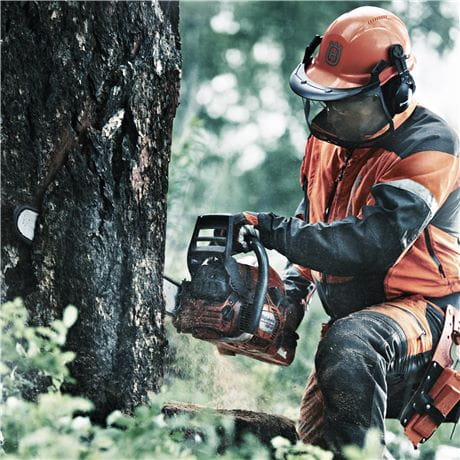 Safety equipment when felling trees