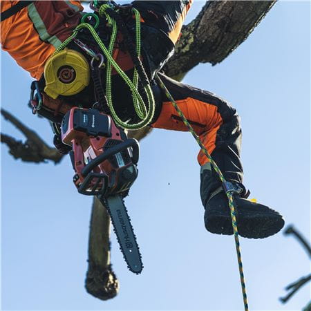Campaign image - Climbing arborist