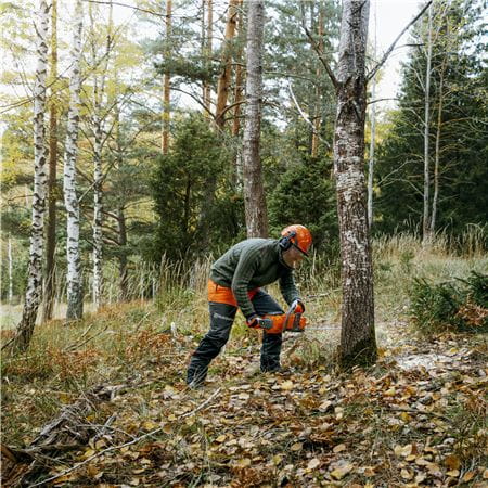 Landowner felling tree Chainsaw 435i and 340i