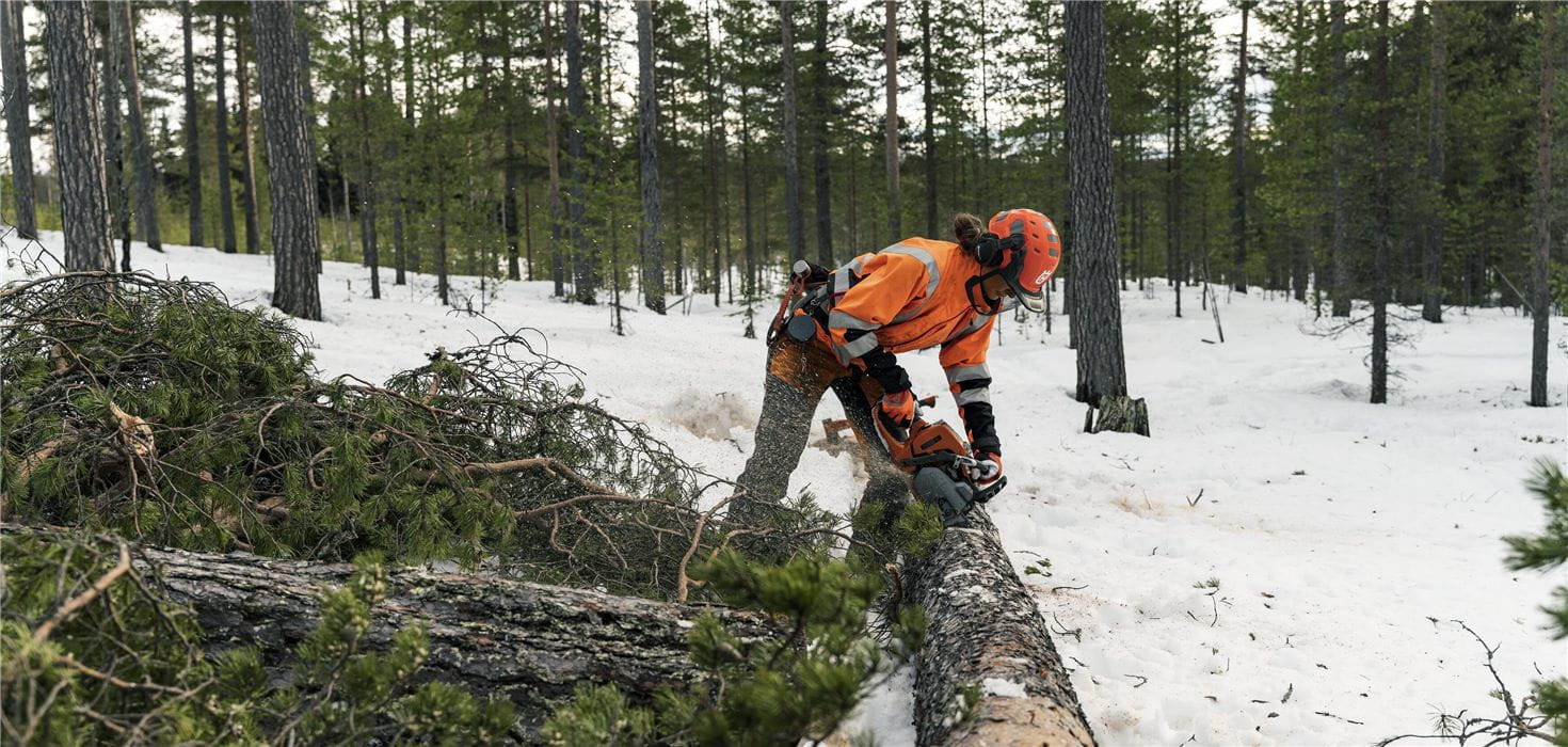 Logger with Chainsaw 550 XP Mark II Winter