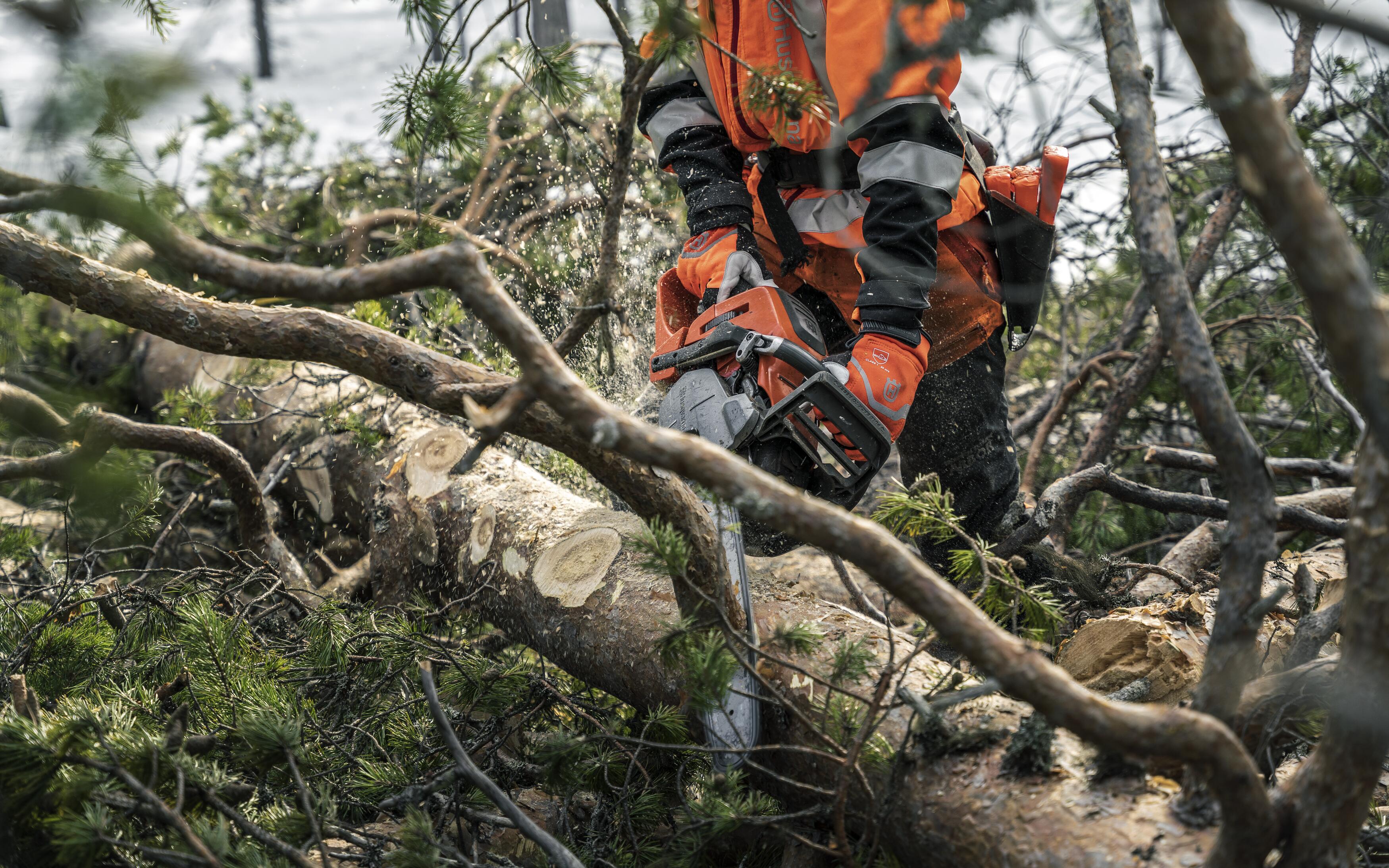 Logger with Chainsaw 550 XP Mark II Winter