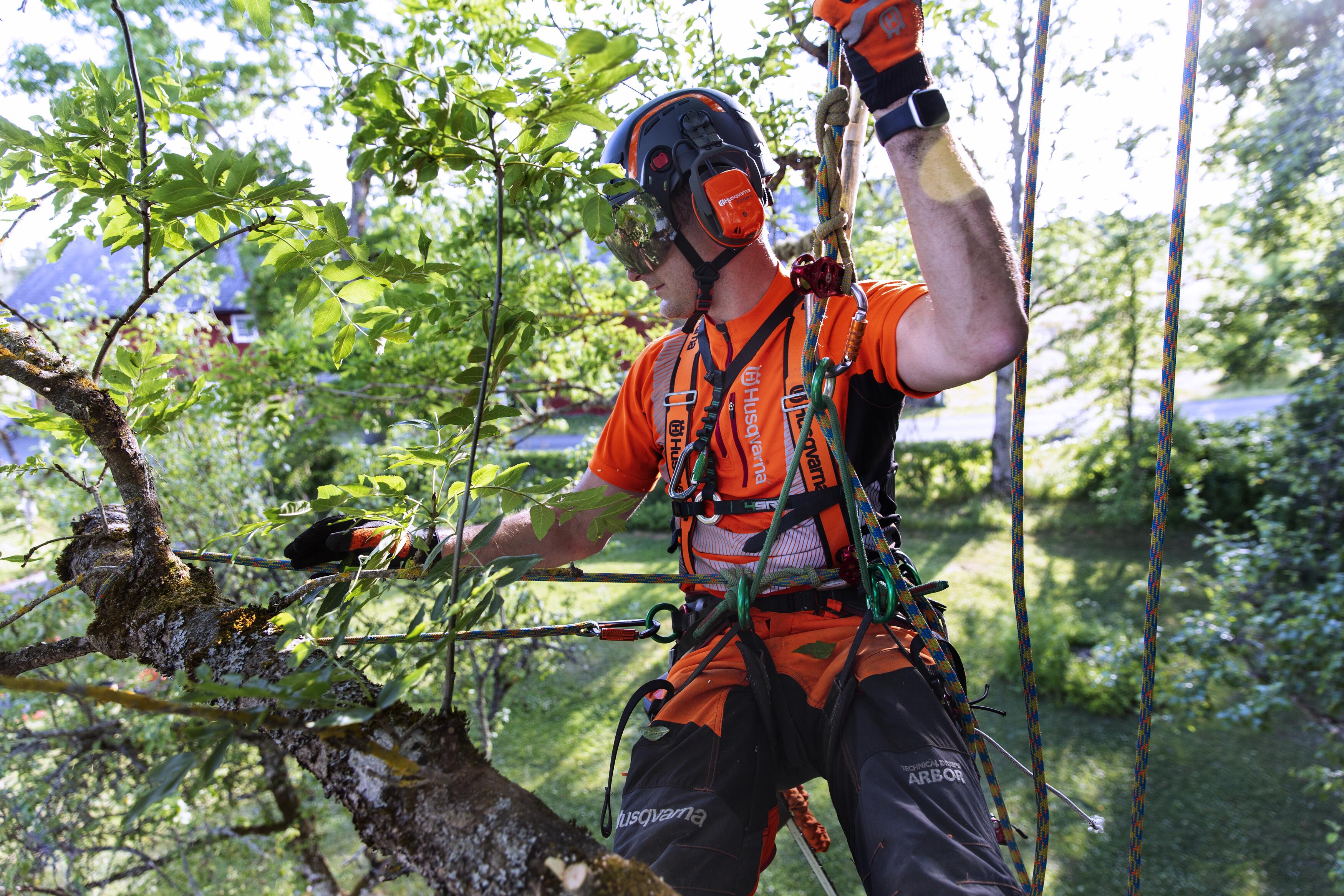 Arborist with Chainsaw T540iXP