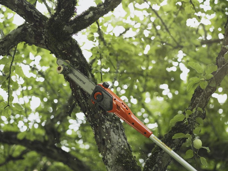 Pruning tree with DP110 FLXi Pole saw attachment for 110iL Grass trimmer
