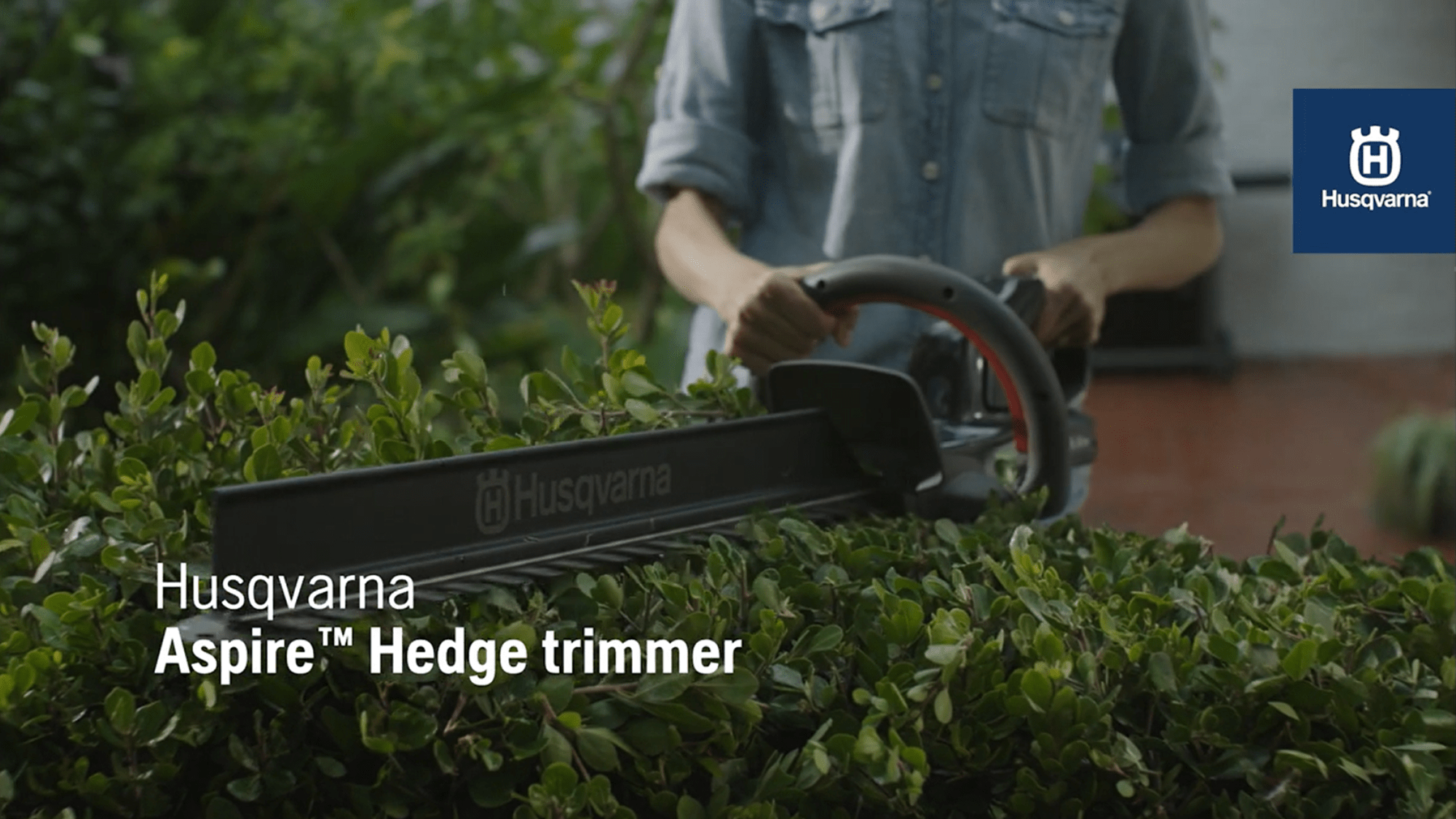 Aspire Hedge Trimmer Hybrid 16x9 MASTER