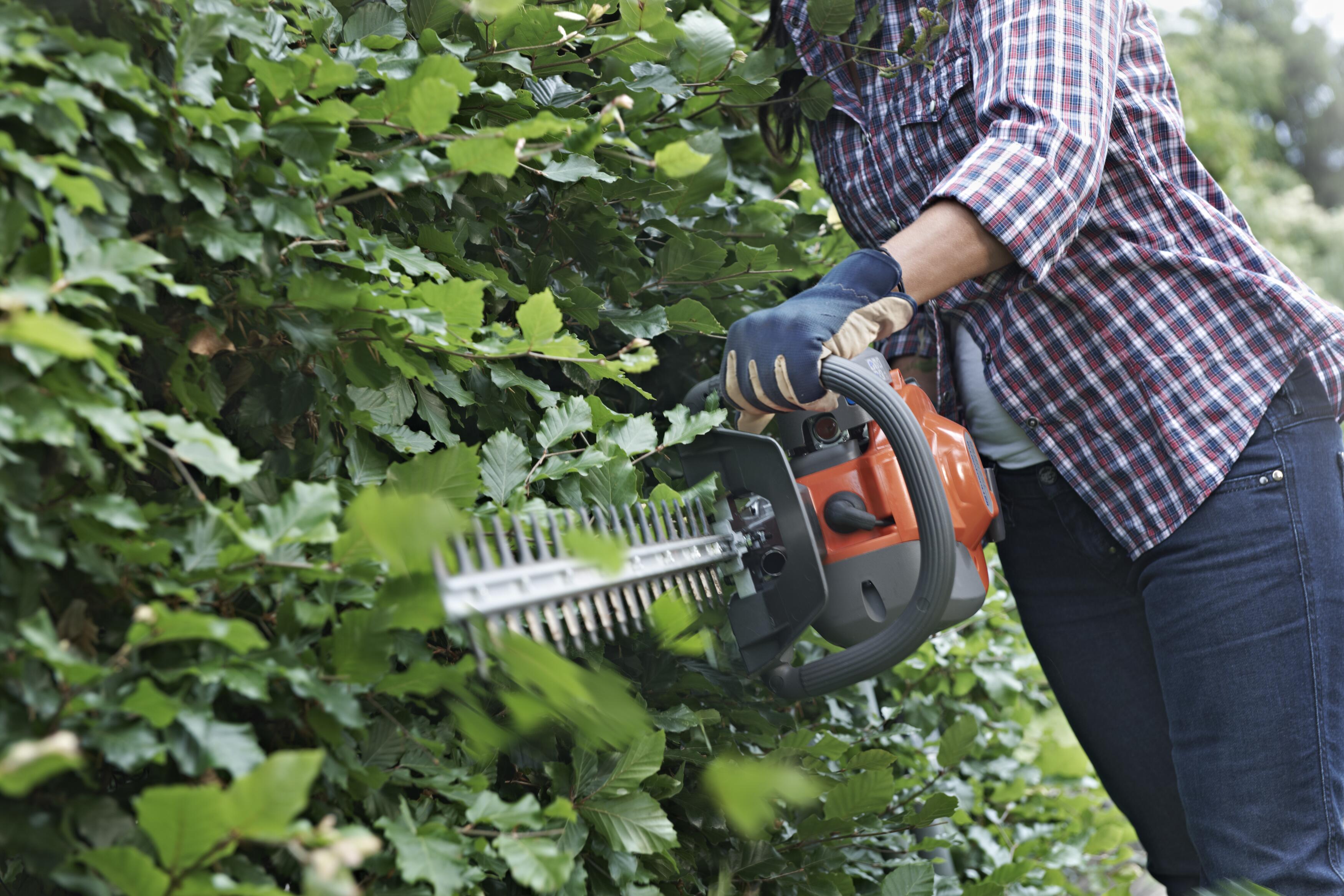 What to think about when buying a hedge trimmer