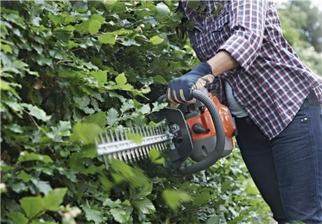 Brushcutter with a harness