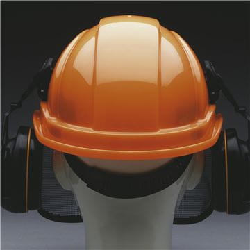 Protective helmet