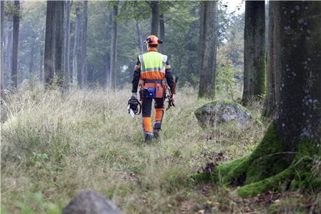Safety equipment when working in storm-felled forest