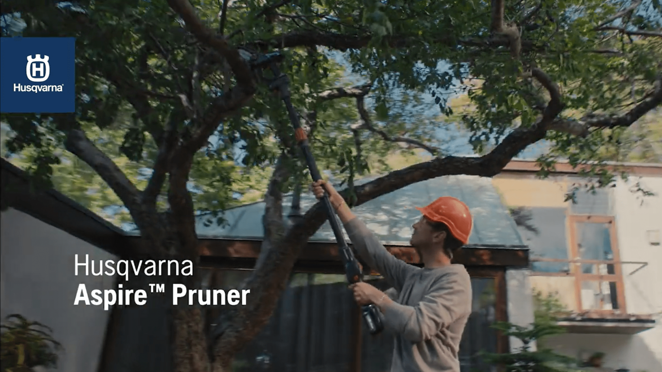 Aspire Pruner w Pole Hybrid 16x9 MASTER