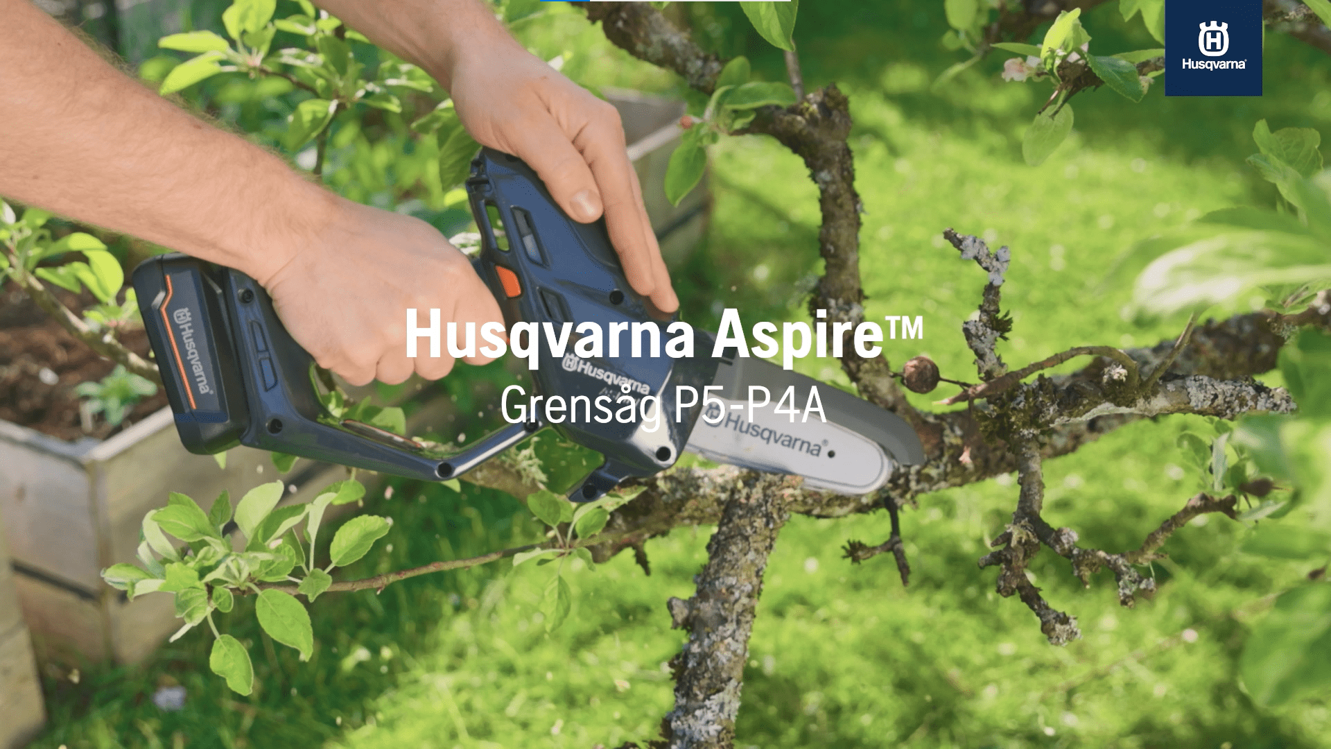 Features and how to use Aspire Pruner P5-P4A + with pole 73sec SE