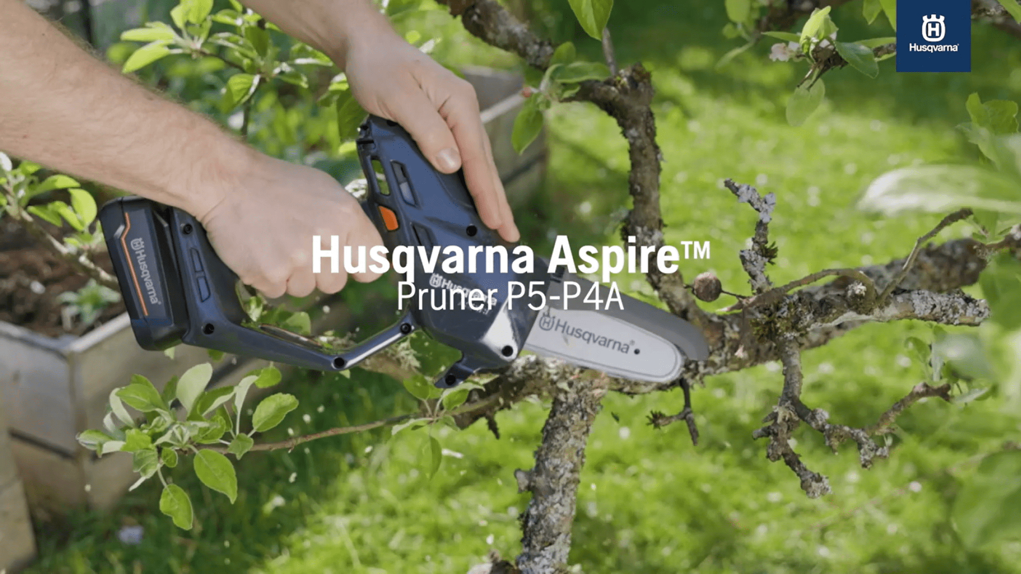 Features and how to use Aspire Pruner P5-P4A + with pole 73sec 16:9 MASTER