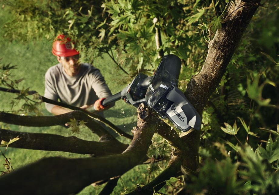 Aspire Pruner with pole above