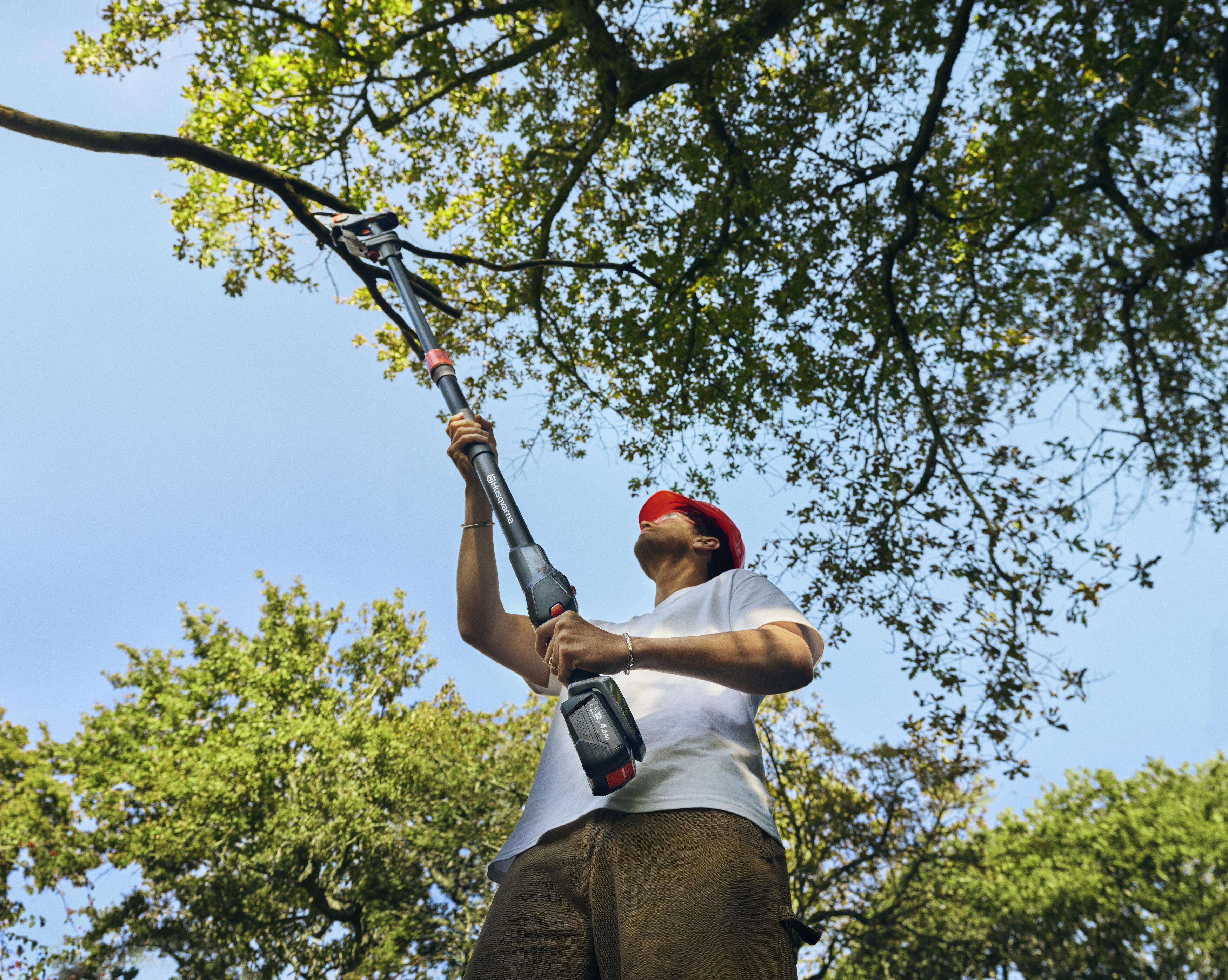 Aspire Pruner w pole landscape