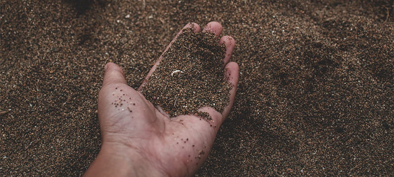 Hand in dirt from garden