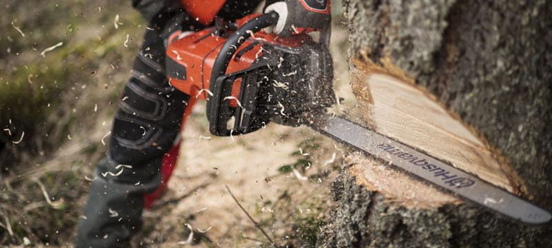 Man felling tree with Husqvarna Chainsaw and PPE
