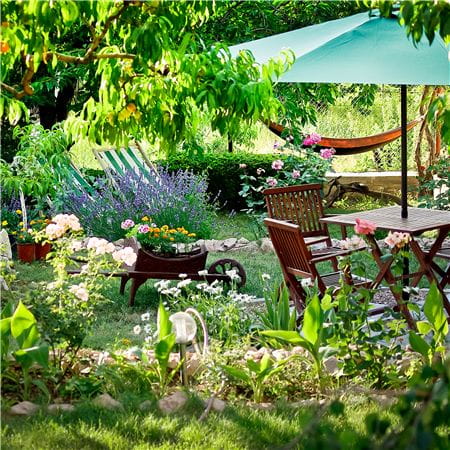 Trädgårdskalender – checklista för trädgården