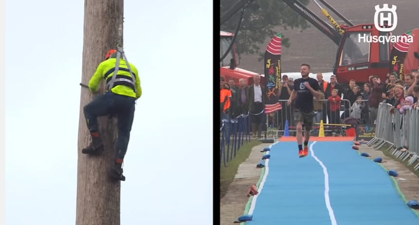 Track vs. tree